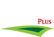 Pro Movers Plus